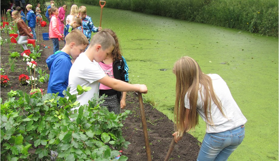 De kinderen uit groep 5 aan het tuinieren in de schooltuin.