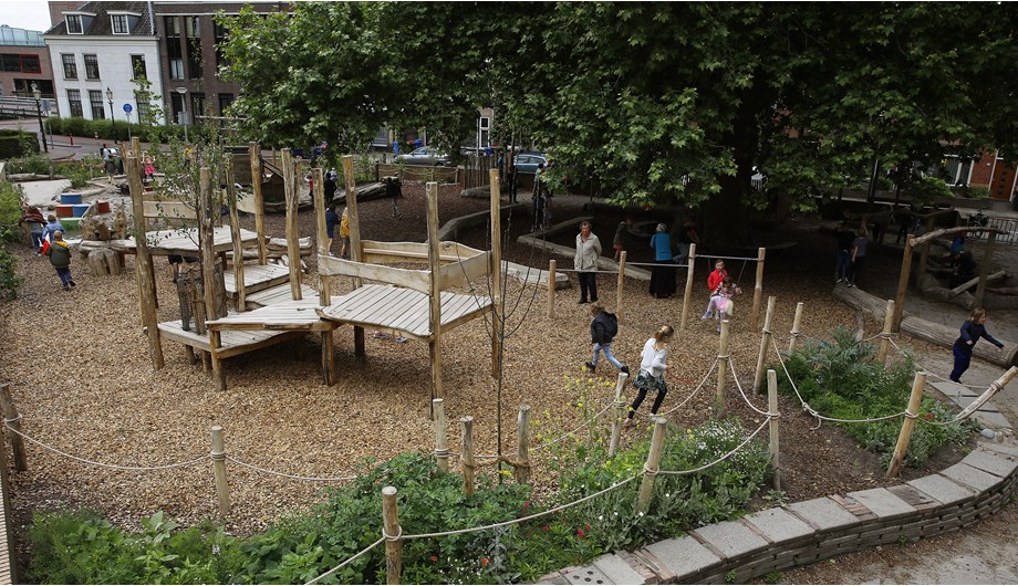 Samen met ouders en leerlingen hebben we een groen schoolplein gerealiseerd waar kinderen fijn kunnen ontdekken en spelen