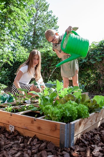 Iedere groep heeft de zorg voor een vierkante meter tuin. Hier zorgen de kinderen met groene vingers voor groente- en fruitplantjes