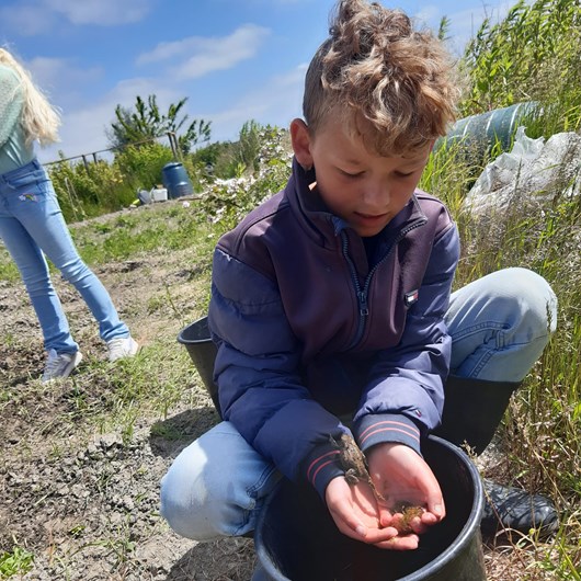 Leerlingen van Op 'e Trije worden betrokken bij de groei en bloei van verschillende groenten in de moestuin.