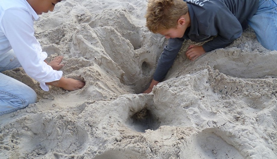 leerlingen ontdekken in het zand