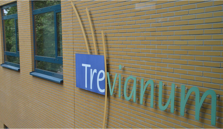 Schoolfoto van HAVO Trevianum