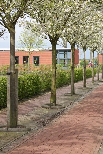 Schoolfoto van Groen van Prinstererschool