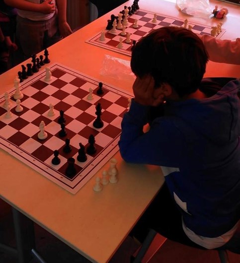 Twee keer per schooljaar een periode van 5 weken elke donderdag schaakles van onze experts van de schaakvereniging uit Doorn.