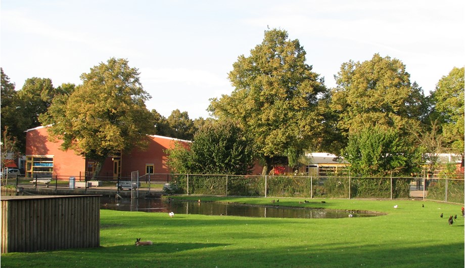 De school is op een prachtige locatie gesitueerd naast het hertenkamp van Purmerend.. 