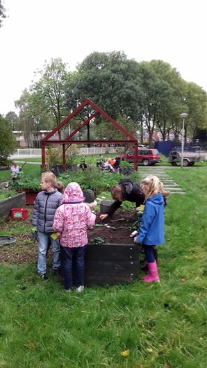 Samen met het Hoeksche Waardslandschap onderhoudt onze school de natuurspeeltuin: plantjes poten, zaadjes zaaien, onkruid weghalen.