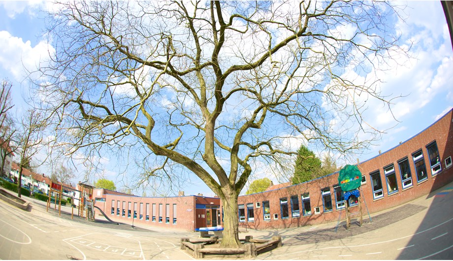 Schoolfoto van SALTO basisschool De Klimboom