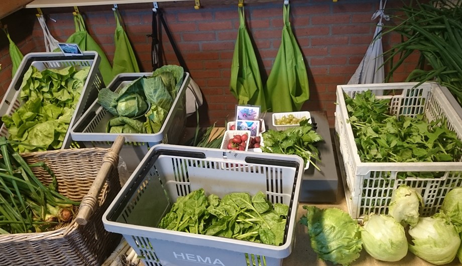 Met de groenten uit de tuin wordt gekookt in het kookatelier of deze worden verkocht in onze tuinwinkel 