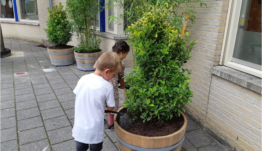 In en om de school staan planten om de kinderen te leren zorgdragen voor hun omgeving. 