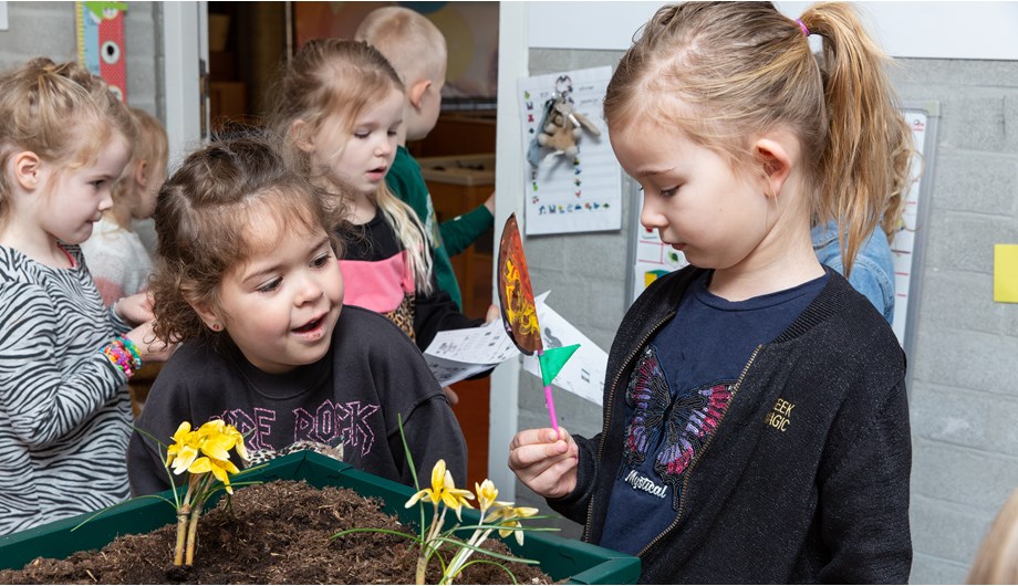 Alle groepen maken gebruik van onze moestuin. Er wordt gezaaid, geplant en de kinderen krijgen informatie over diverse planten.