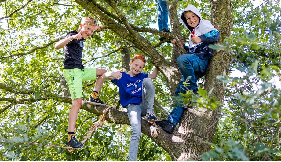 Op het veld, vlak naast de school en bereikbaar via een eigen pad, kunnen de kinderen heerlijk spelen, klimmen en voetballen.
