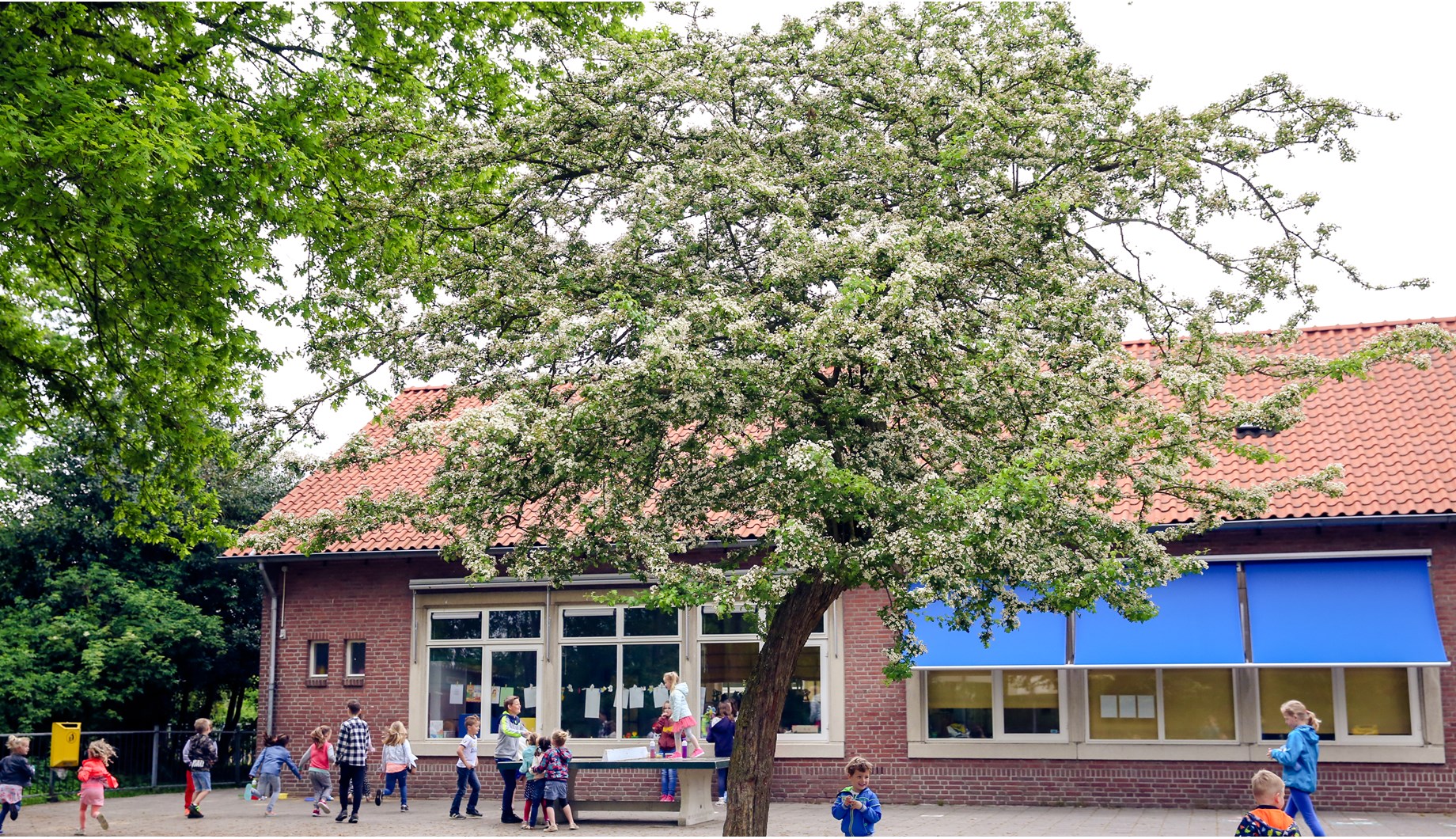 Schoolfoto van Rooms Katholieke Basisschool Sint Martinus