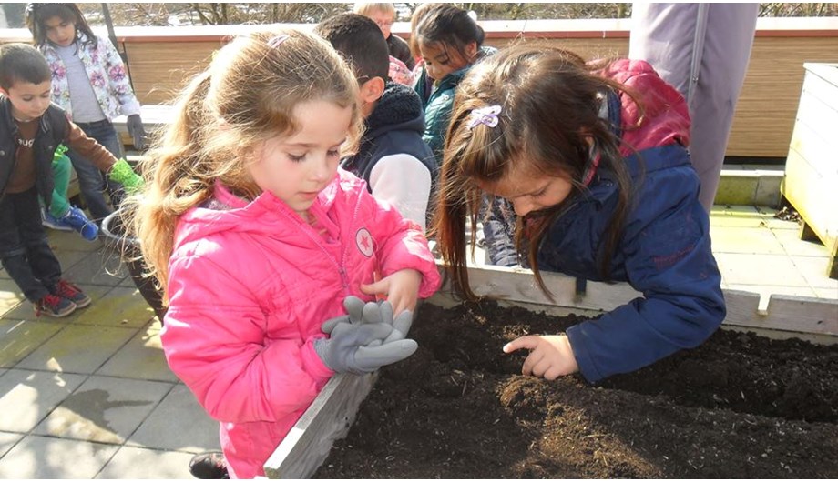 De kinderen onderhouden 1 vierkante meter tuin per groep!