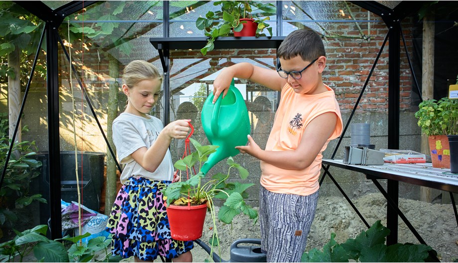 De leerlingen zorgen voor het fruit en de groenten in onze tuinkas.
