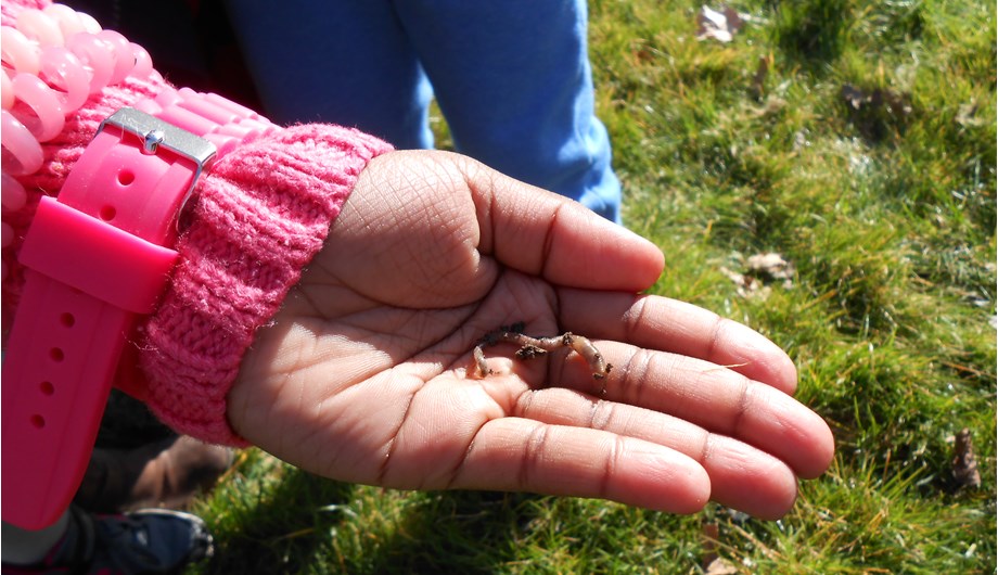 Bij IPC leren en ervaren de kinderen over de natuur. Zo leren we wat een worm nodig heeft om te kunnen leven. En waar we wormen kunnen vinde